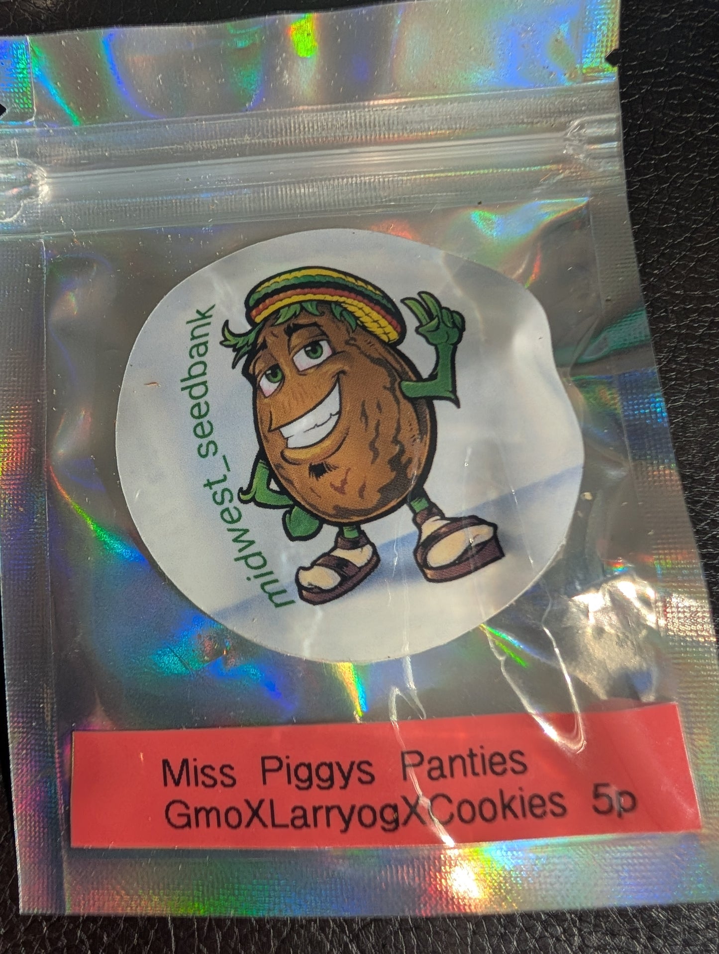 Miss Piggys Panties