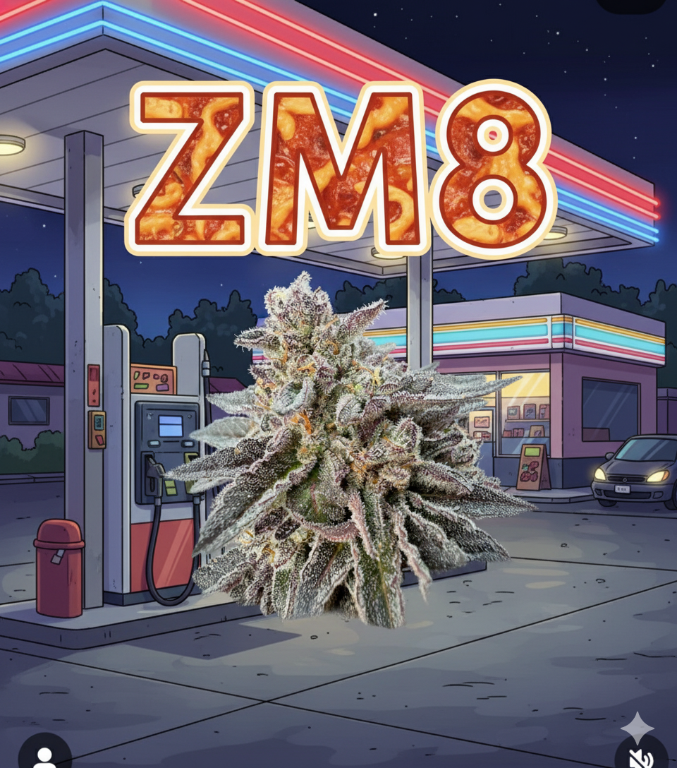 ZM8
