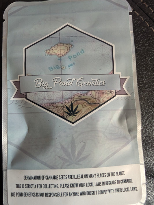 Unicorn Poop x Mendo Montage