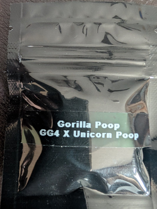 Gorilla Poop